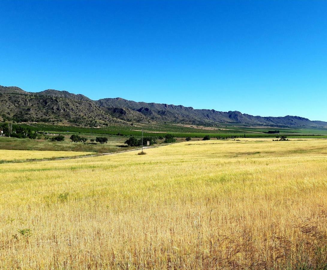 Casa Vidal Relax Al Pie De La Sierra Villa Yecla Kültér fotó